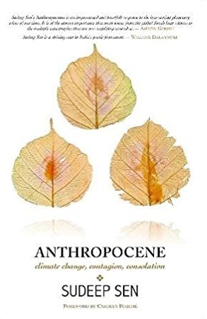 anthropocene