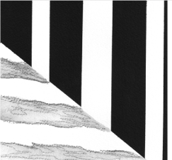 slanting trees cropped